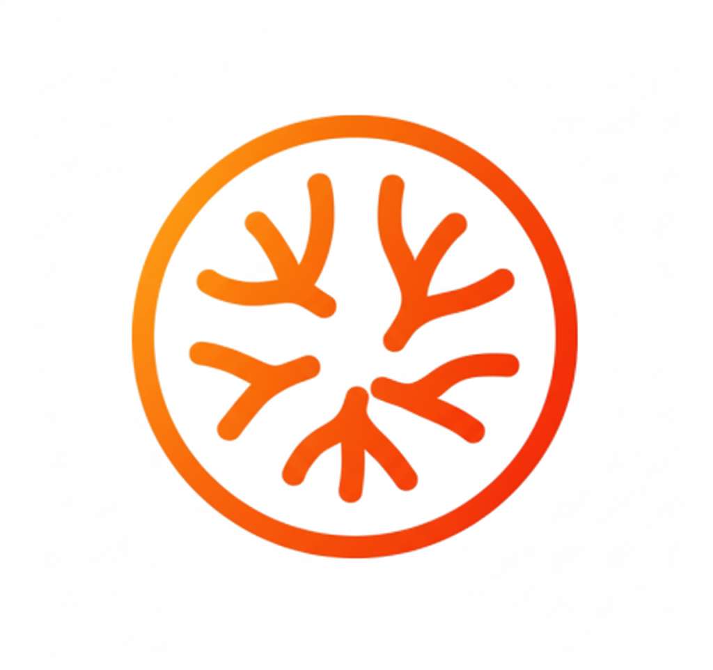 Proyecto de Codigo Latam